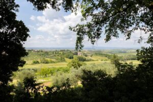 Campagna senese